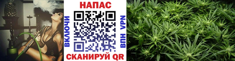 Codein Ахтубинск