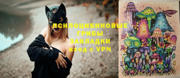СК Арсеньев