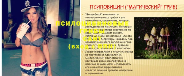 СК Аркадак
