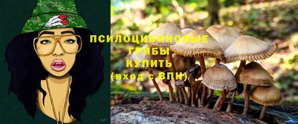 метадон Армянск