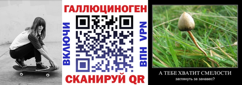 Галлюциногенные грибы MAGIC MUSHROOMS  Ахтубинск 